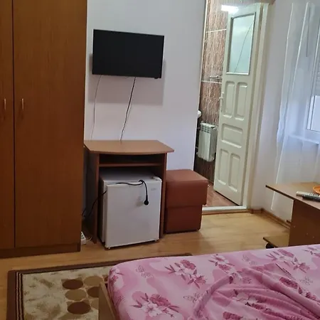 Turistica Udrea Guest house