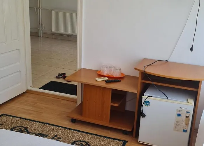 Turistica Udrea Guest house *