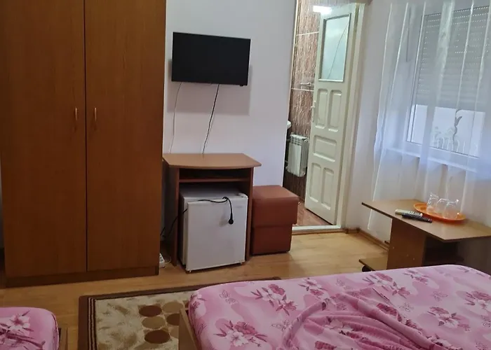 Turistica Udrea Guest house