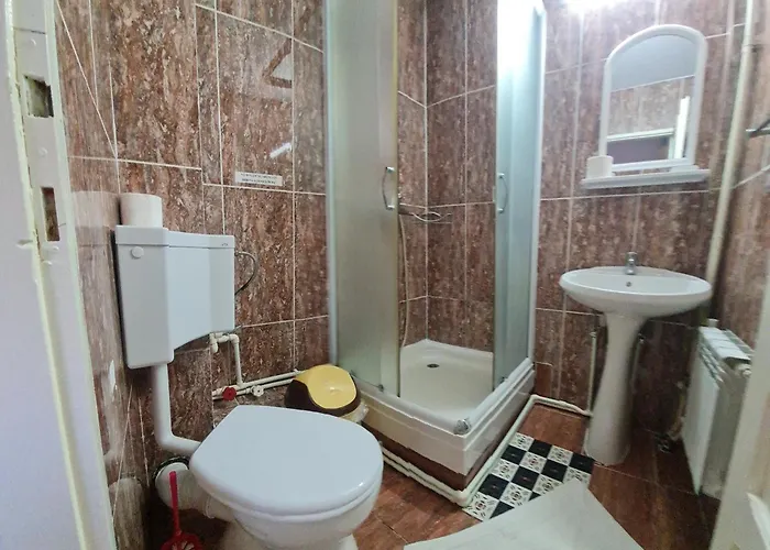 Turistica Udrea Guest house