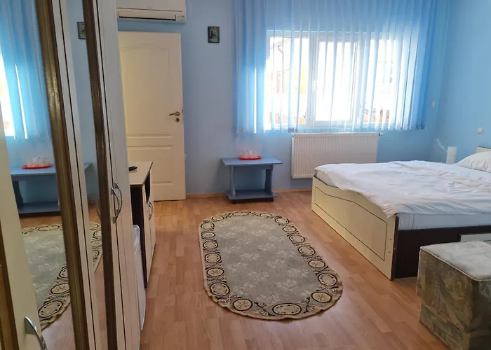 Turistica Udrea Guest house *